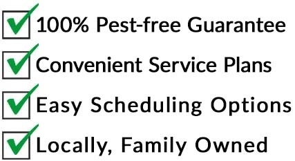 Reasons to choose Ecofusion Pest Control 