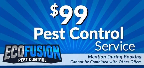 $99 pest control service coupon