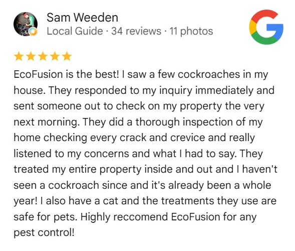 reveiw 