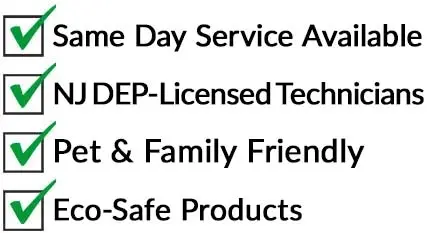 Reasons to choose Ecofusion Pest Control 