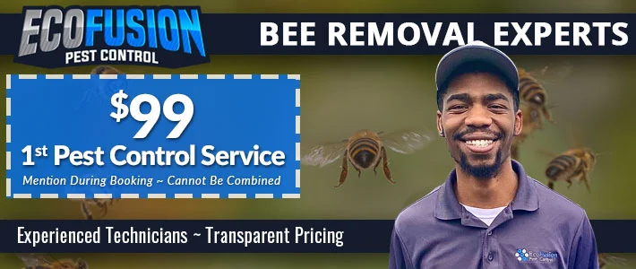 new jersey bee removal Ecofusion Pest Control