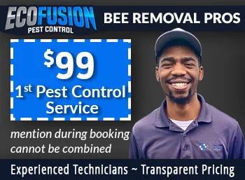 new jersey bee removal Ecofusion Pest Control