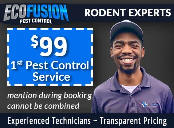 new jersey Rodent control  Ecofusion Pest Control