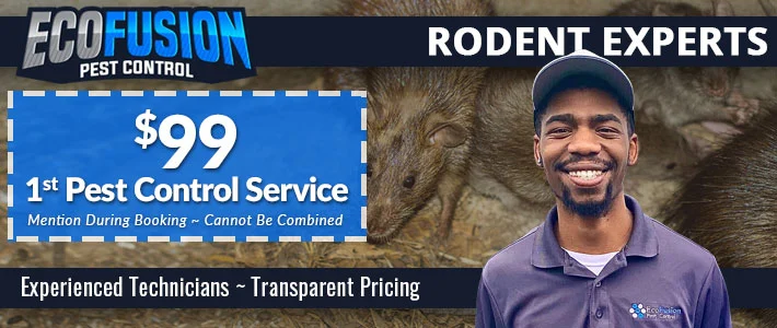 new jersey Rodent control Ecofusion Pest Control