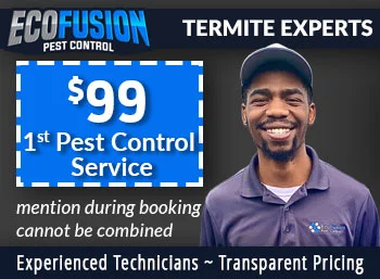 new jersey Termite Eradication  Ecofusion Pest Control